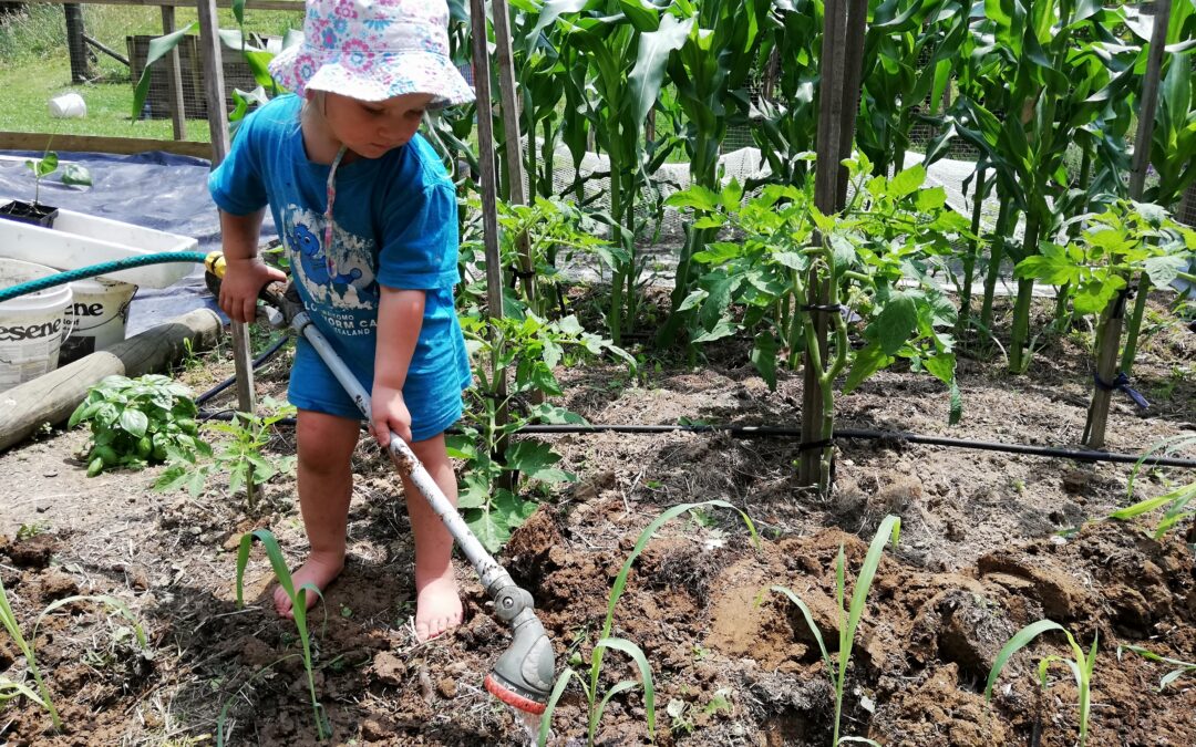 How to help kids to eat their veggies? Grow a garden!
