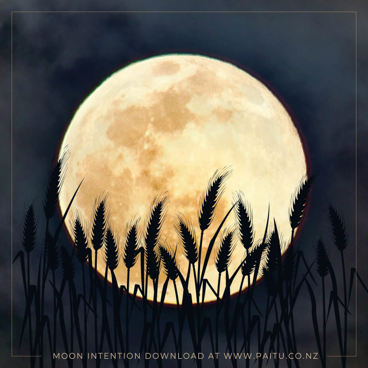 What is the Harvest Moon? Paitu