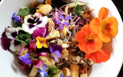 List of NZ Edible Flowers