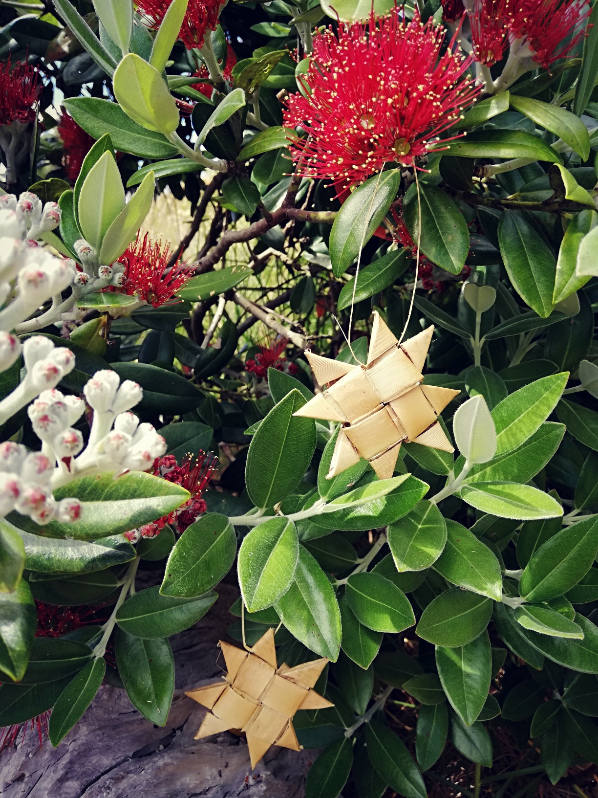 Make a Harakeke (NZ Flax) Star